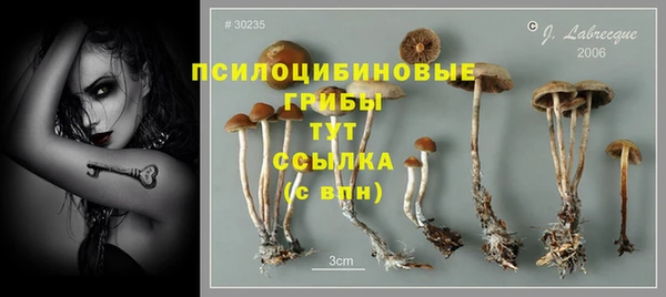дмт Армянск