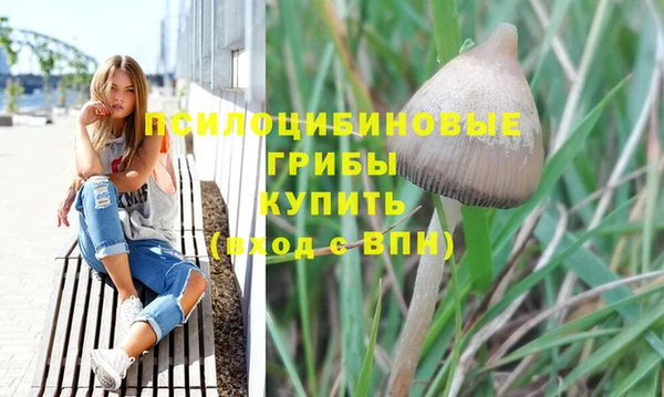 МДПВ Арсеньев