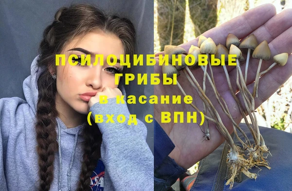 марки lsd Покачи